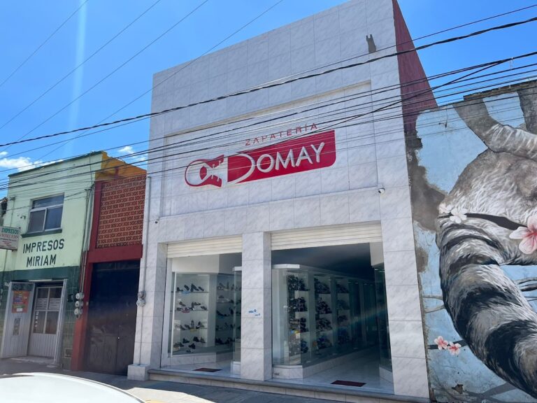 47171 zapateria domay 768x576