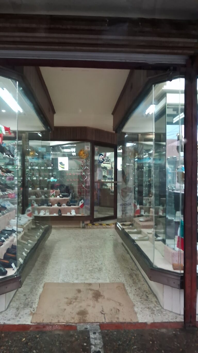 47249 zapateria el gallo de nuevo laredo 768x1365
