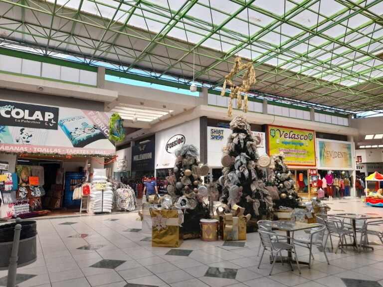 47338 plaza vestir 768x576