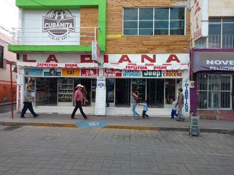 47341 zapateria diana de fresnillo 768x576