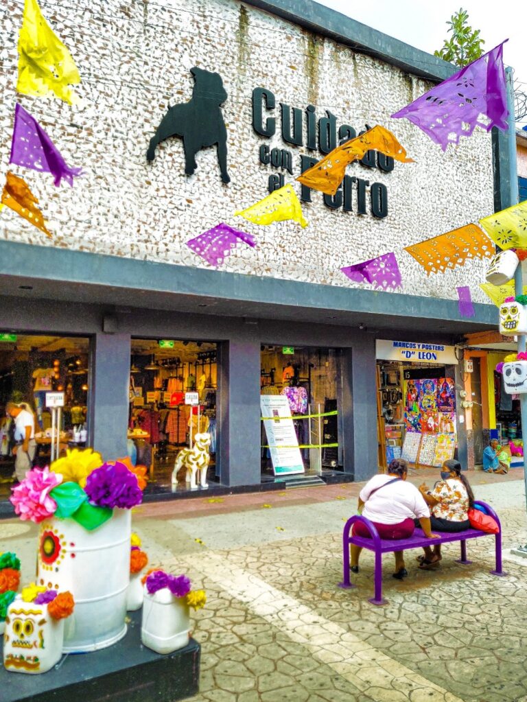 47396 cuidado con el perro 768x1023