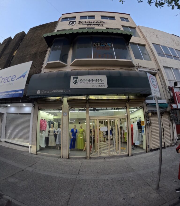 47544 scorpion boutique 768x877