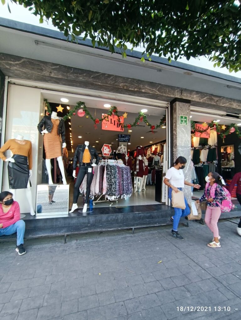 47655 vertiche 768x1022