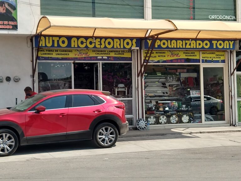 47953 polarizado y accesorios tony 768x576