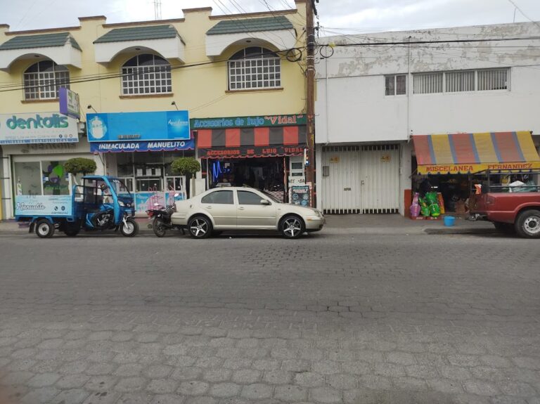 48153 accesorios de auto lujo vidal 768x575