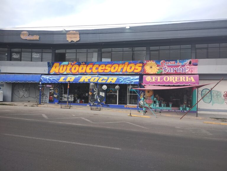 48159 auto accesorios 8220la roca8221 768x579