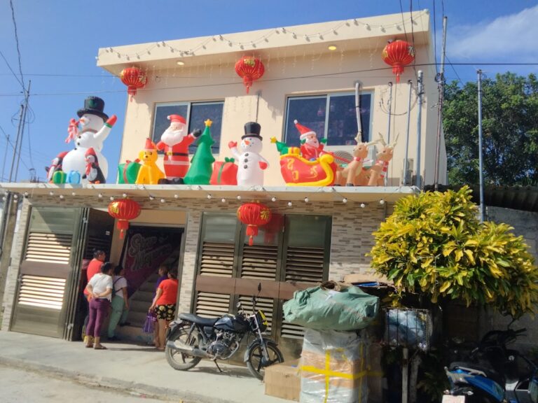 48191 star mayoreo 768x576