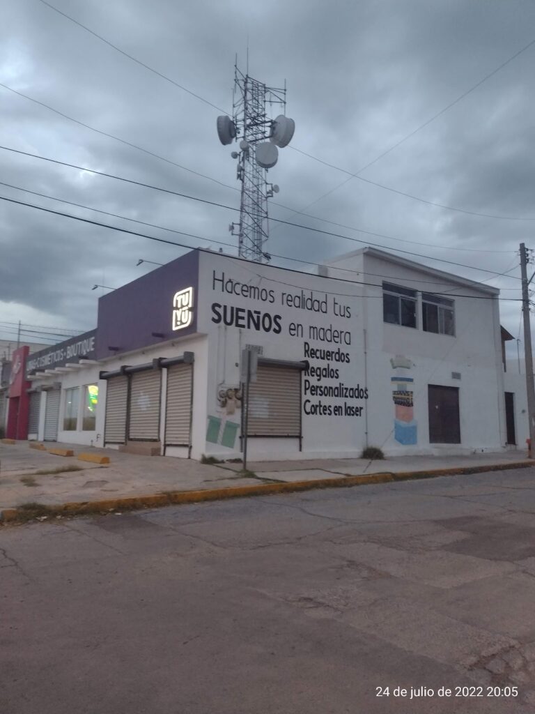 48393 tuyu by gifts 768x1024