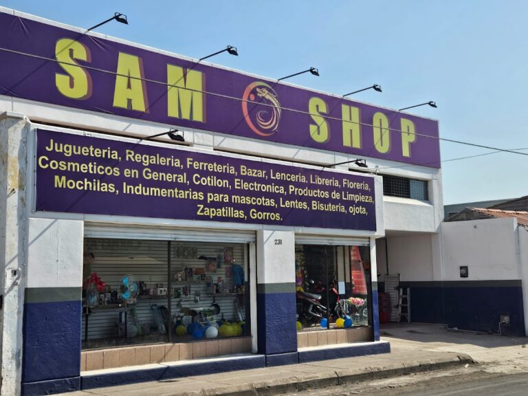 48456 sam shop tecoman 768x576
