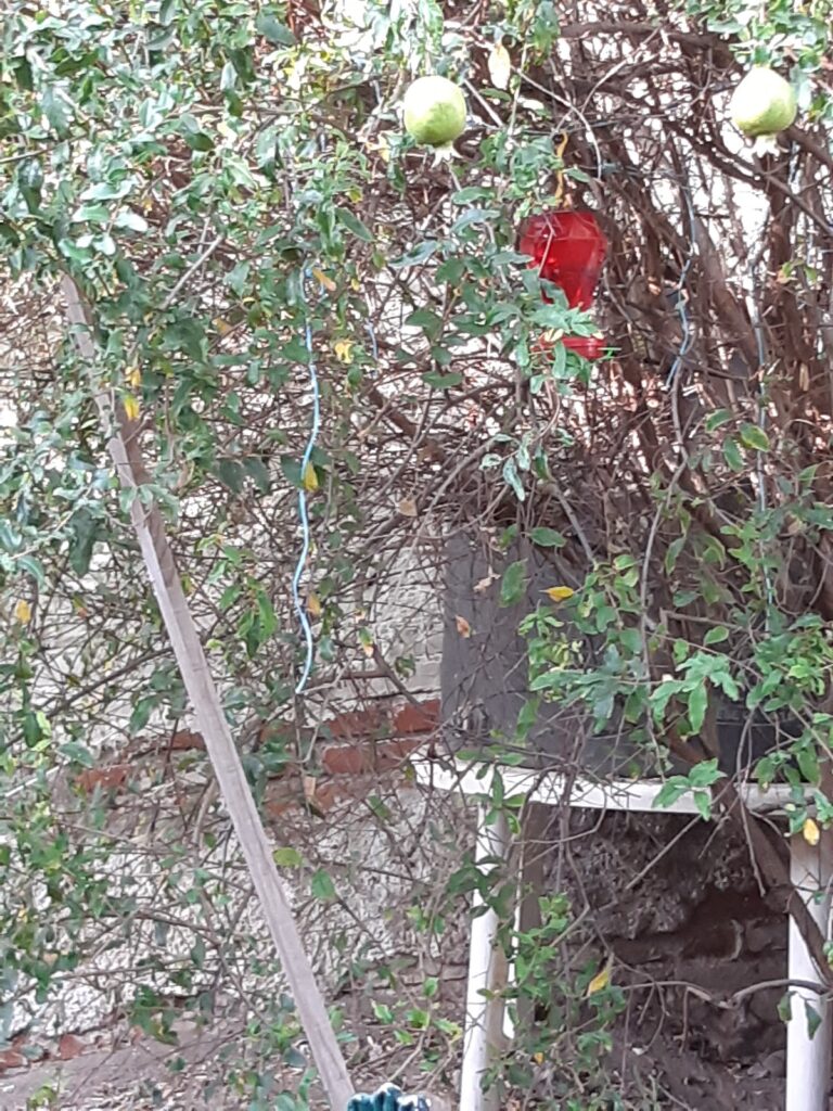 48480 regalos y novedades marcris 768x1024