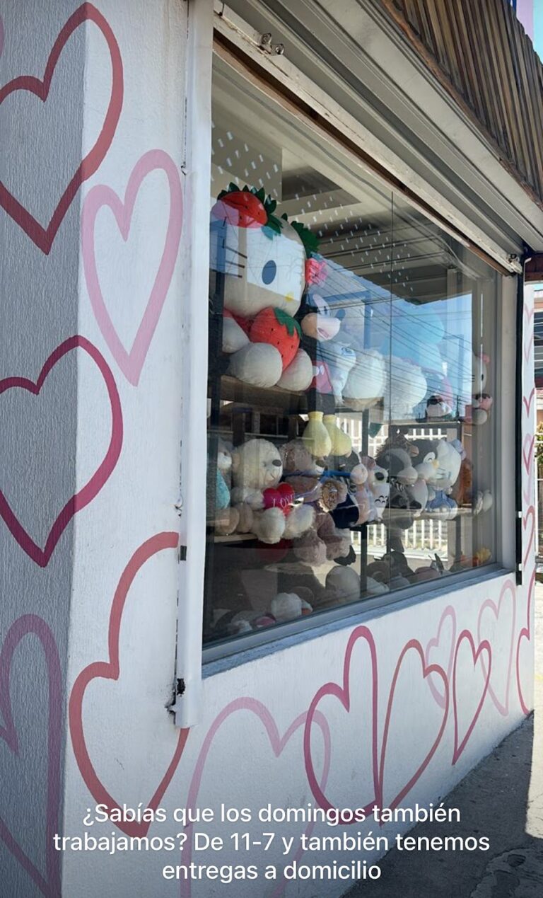 48519 regalos d p lu ch 768x1269