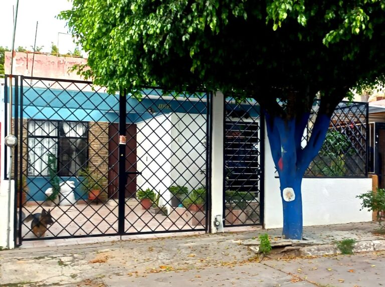 48533 regalos y sorpresas del angel 768x572