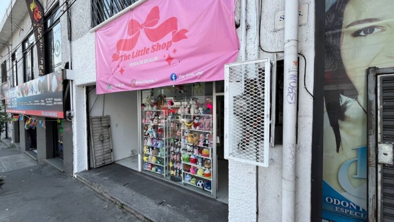 48616 regalos the little shop 768x432