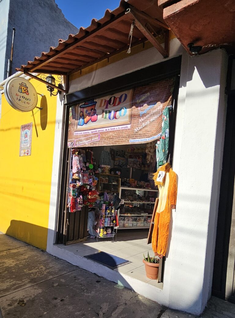 48643 de todo un poco cholula 768x1038