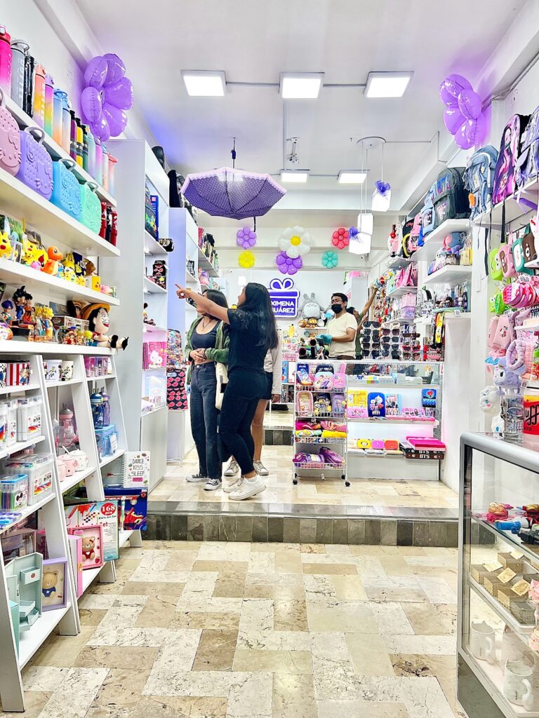 48653 ximena suarez regalos suc. centro 768x1024