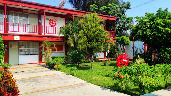 49170 cecati 147 dgcft