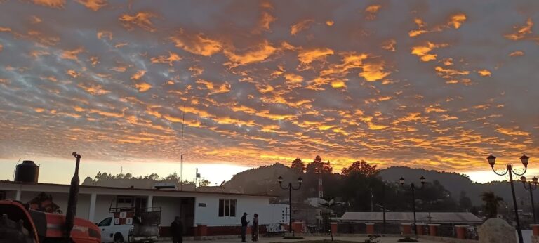 49207 carpinteria fuentes 768x346