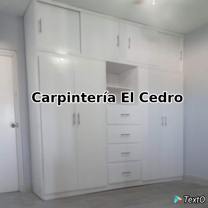 49243 carpinteria y ebanisteria el cedro