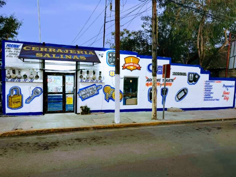 5002 cerrajeria salinas 768x576