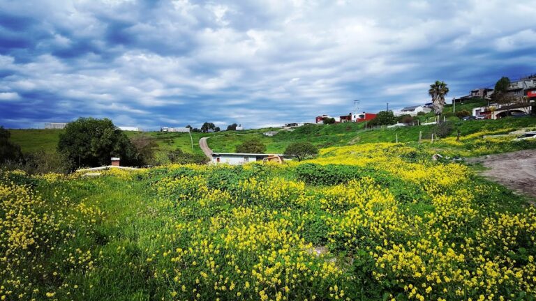 50041 jv ingenieria civil 768x432