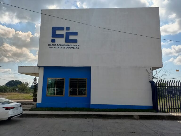 50049 colegio de ingenieros civiles de la costa de chiapas a.c 768x576