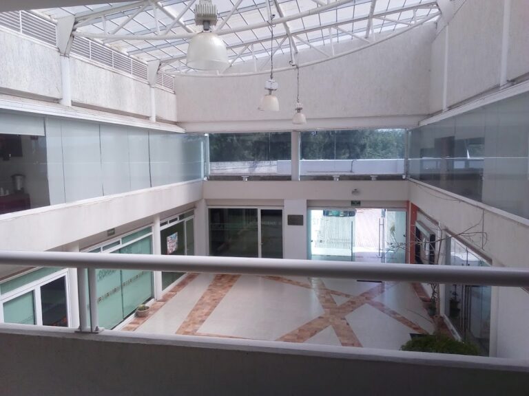 50135 colegio de ingenieros civiles de leon a.c 768x576