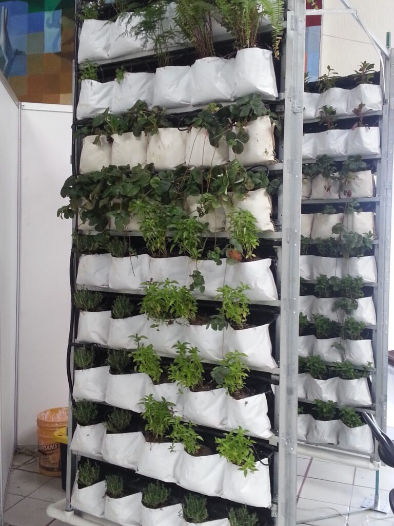 50210 colegio de ingenieros civiles del estado de mexico a.c 768x1024