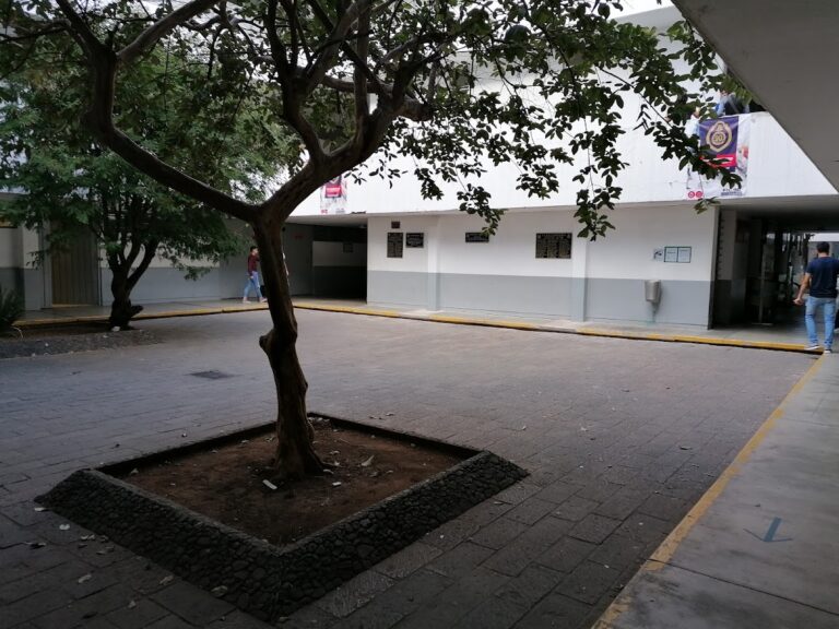 50224 umsnh facultad de ingenieria civil 768x576