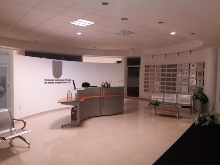 50282 colegio de ingenieros civiles del estado de queretaro 768x576