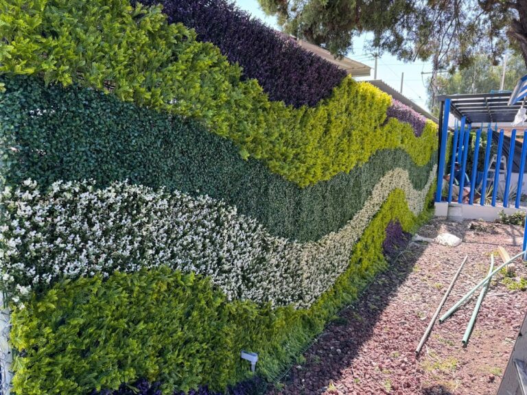 50442 eko haus mexicali 768x576