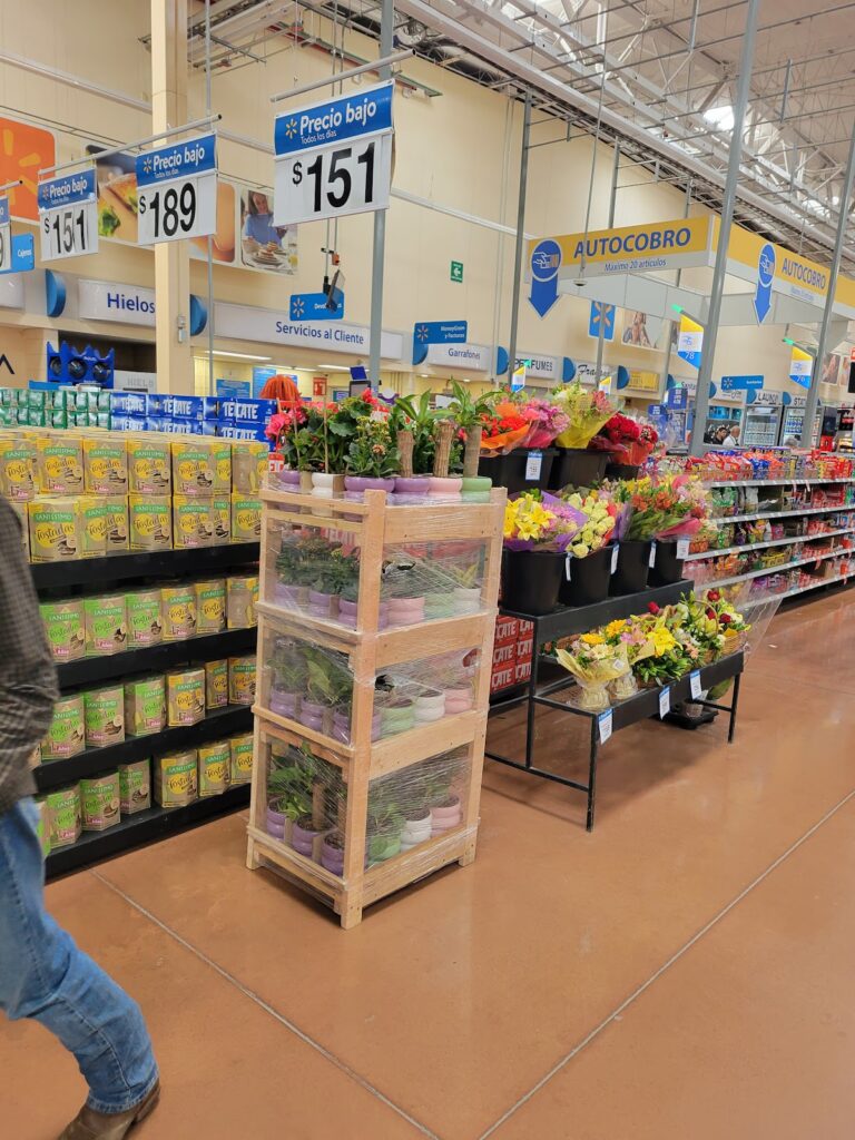 50499 alcazar viveros y paisajismo polinesia 768x1024