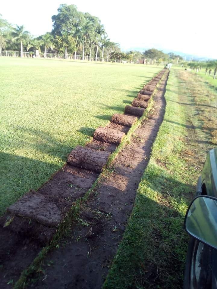 50502 jardineros de colima