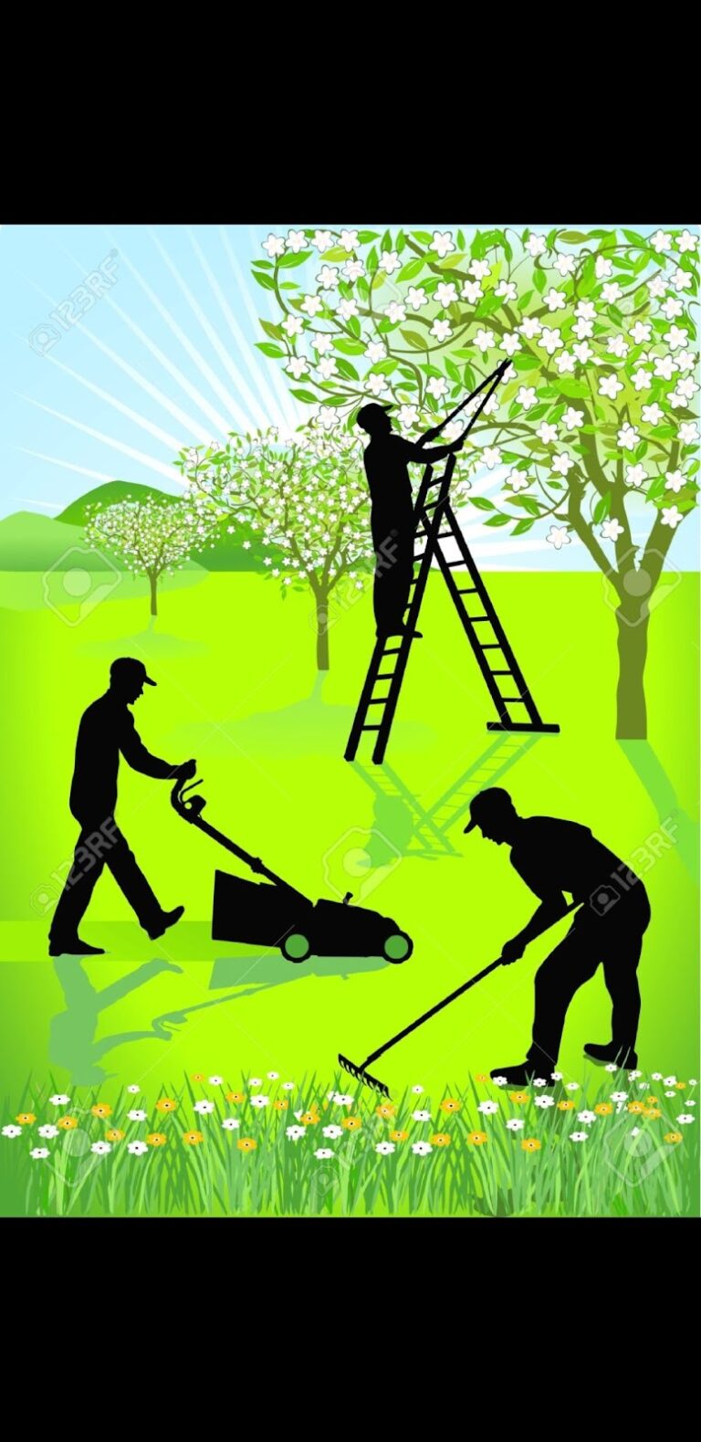 50514 el sabino de sabi servicios y mantenimiento de jardineria 768x1579