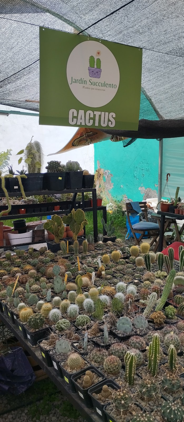 50531 jardin succulento