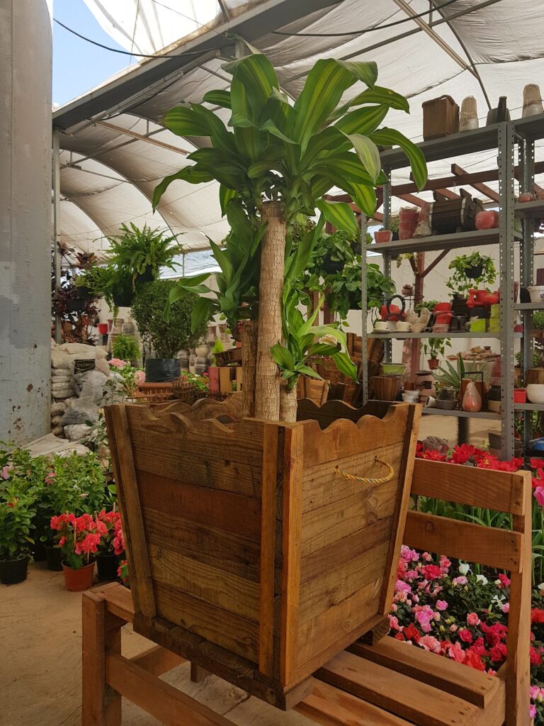 50548 vivero arte y jardin 768x1024