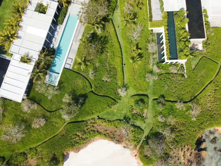 50574 grupo viverde vivero jardineria y paisajismo 768x576