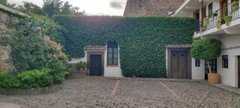 50576 eg jardineria paisajismo 768x346