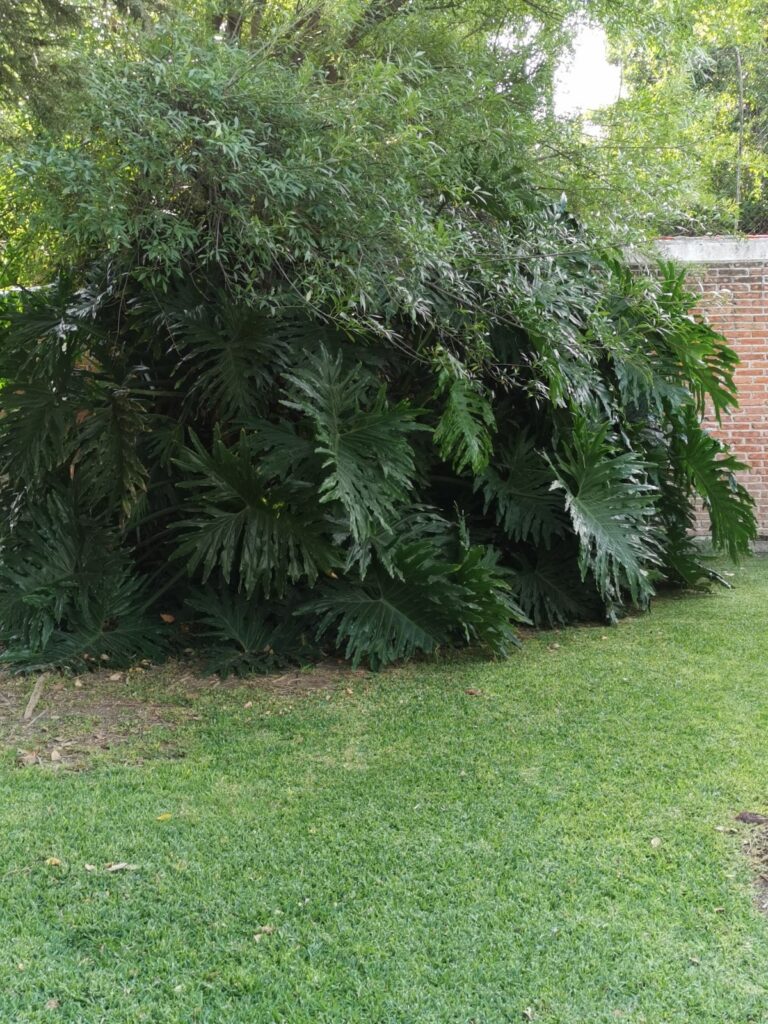 50591 instalacion y mantenimiento de riego y jardineria roman 768x1024