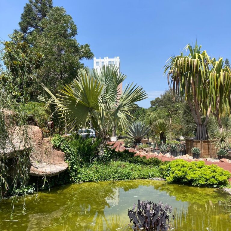 50597 verde urbano vivero y paisajismo 768x768