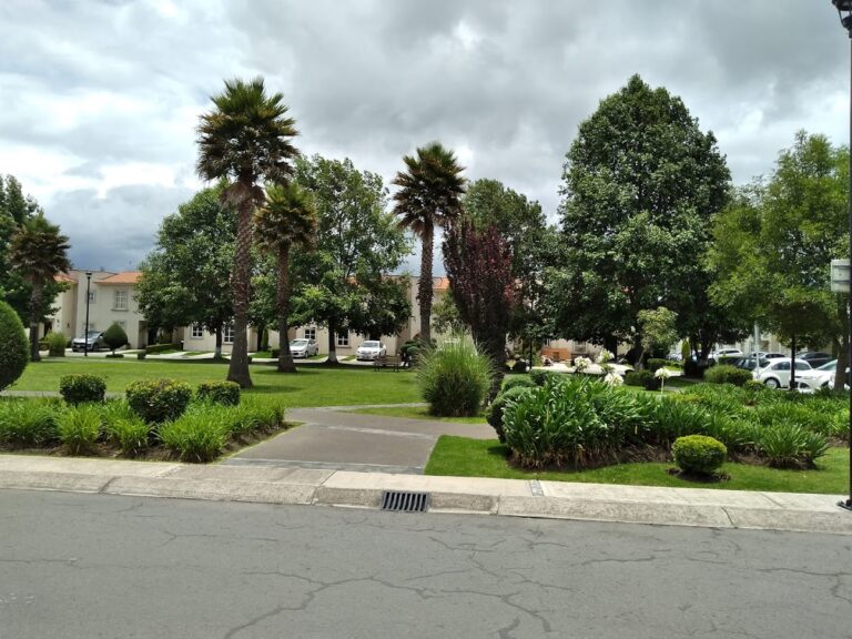 50599 jardineria verde mate jardineros paisajismo 768x576