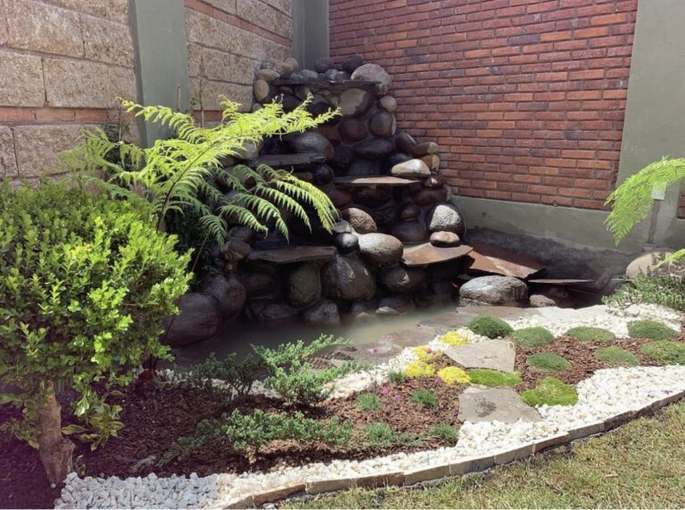 50603 diseno de jardines toluca 768x572