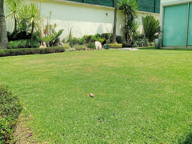 50622 jardify jardineria y paisajismo atizapan 768x576