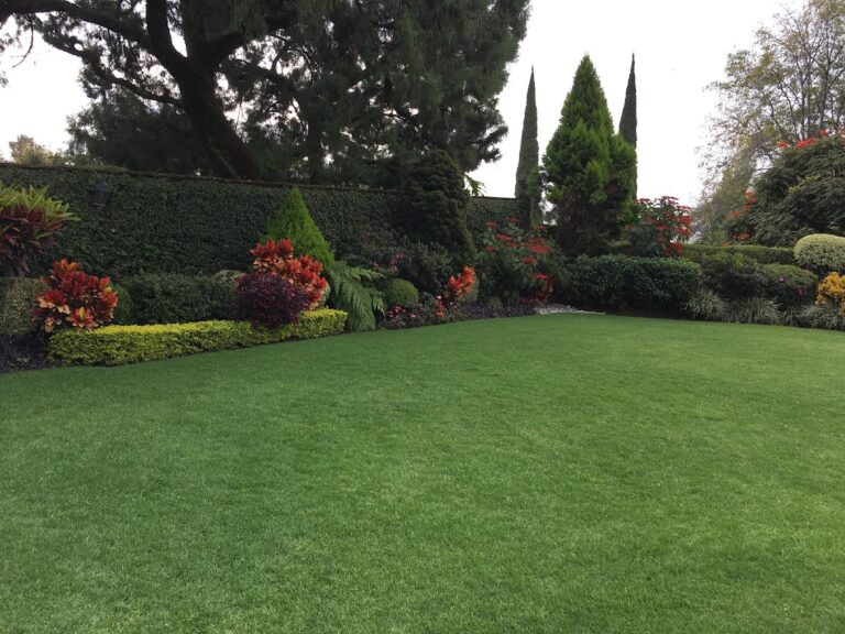 50631 eco casa y jardin 768x576