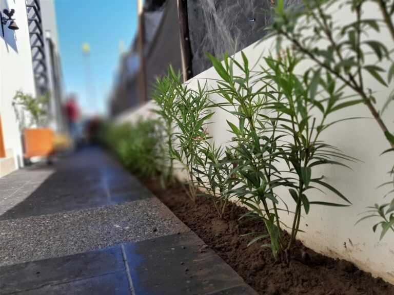 50641 m arquitectura del paisaje 768x576