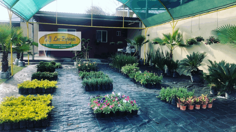 50666 las espigas paisajismo y vivero 768x432