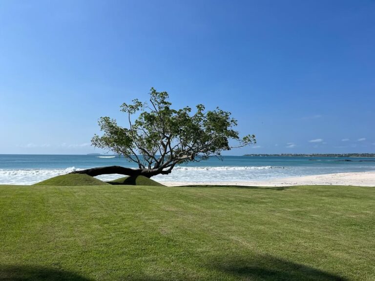 50674 creativa paisaje mexico 768x576