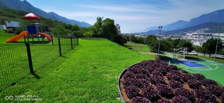 50706 paisajismo verde 768x355