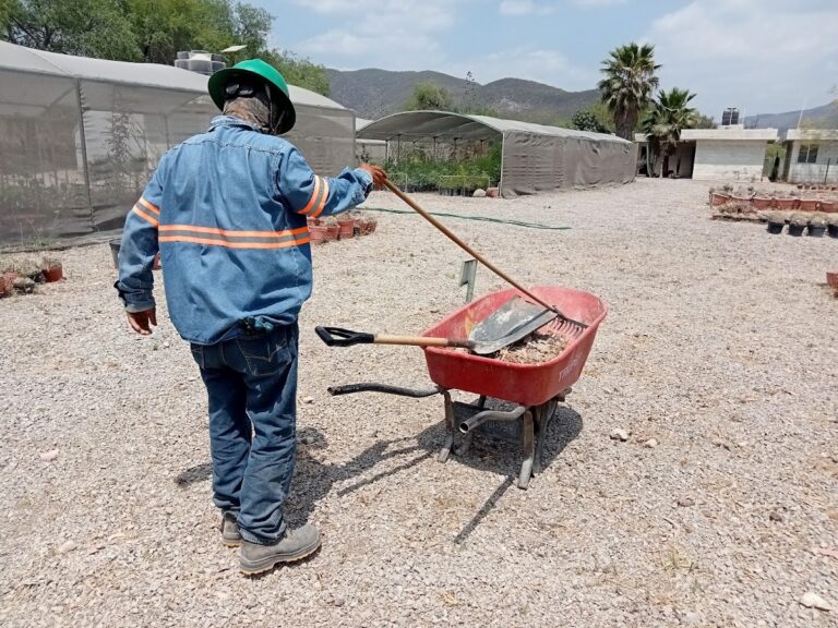 50732 hr jardineria y mantenimiento de areas verdes slp 768x576