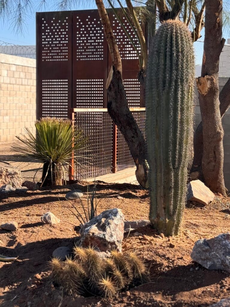 50758 urbanicola 768x1024