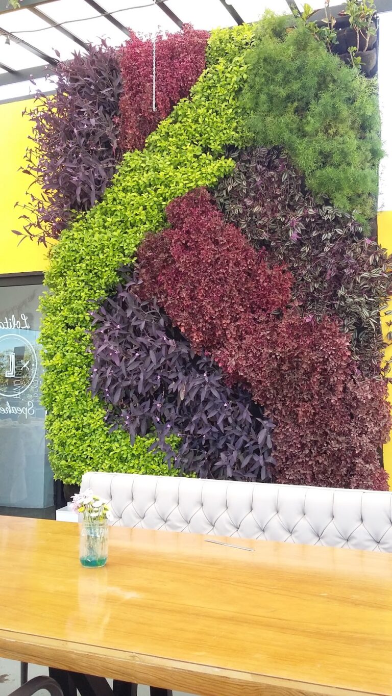 50760 verdeco 768x1365